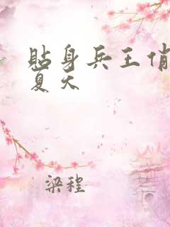 贴身兵王俏总裁夏天