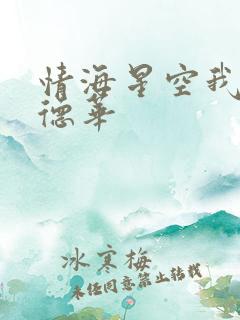 情海星空我与刘德华