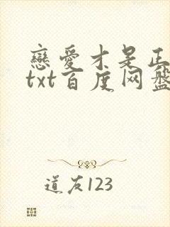 恋爱才是正经事txt百度网盘