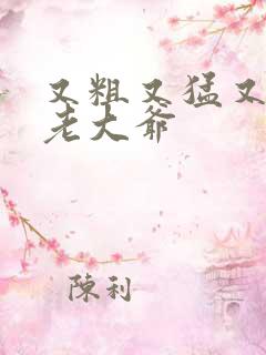 又粗又猛又大爽老大爷