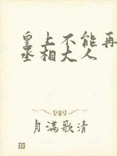 皇上不能再进了丞相大人