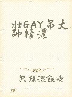 壮GAY吊大人帅精浓