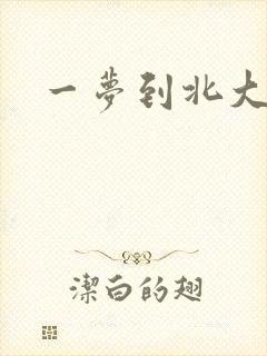 一梦到北大