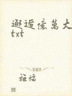 邂逅亿万大人物txt