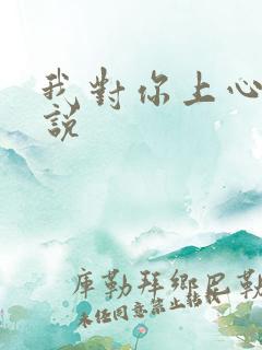 我对你上心了小说