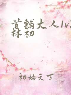 首辅大人1v2林初