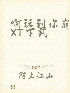 啊玩到你崩溃TXT下载