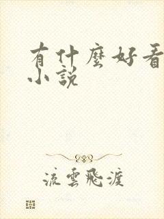 有什么好看的h小说