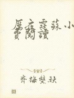 厉夜霆苏小汐免费阅读