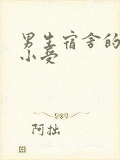 男生宿舍的公共小受