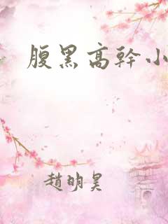 腹黑高干小说