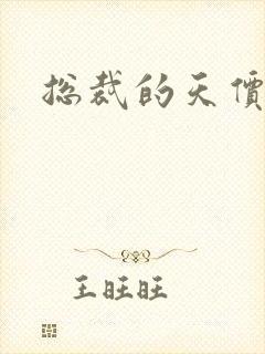 总裁的天价宝贝