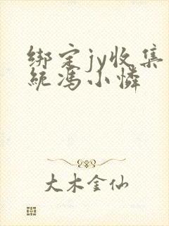 绑定jy收集系统冯小怜