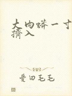 大肉蟒一寸一寸挤入