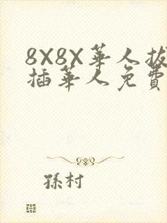8X8X华人拔插华人免费