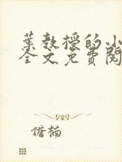 叶教授的小黏糖全文免费阅读