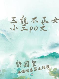 三观不正女主是小三po文