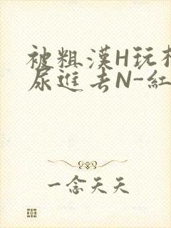 被粗汉H玩松了尿进去N-红-Q