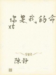 你是我的命运txt