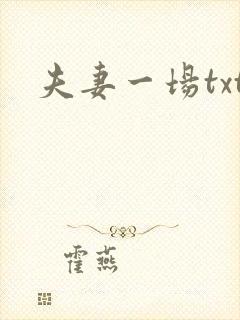 夫妻一场txt