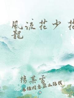 风流花少 花睿龙