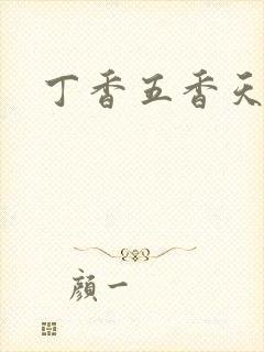 丁香五香天麻豆