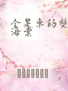 全是车的双男主海棠