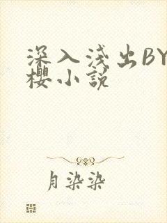 深入浅出BY胖樱小说