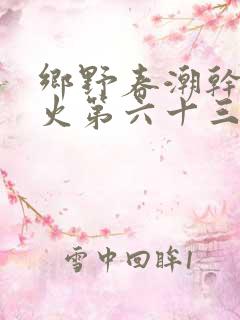 乡野春潮干柴烈火第六十三章