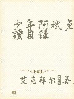 少年阿斌免费阅读目录