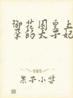 御花园皇上c有孕的太子妃