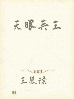 天眼兵王