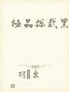 极品总裁黑道妻