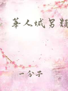 华人城另类小说