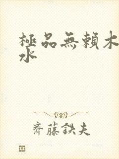 极品无赖木石山水