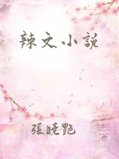 辣文小说