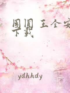 团圆 王全安 下载