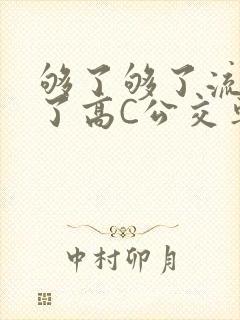 够了够了流出来了高C公交车