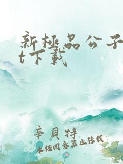 新极品公子txt下载