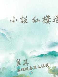 小说 红楼遗秘