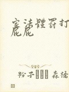 家法体罚打丫鬟屁屁