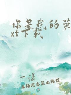 你是我的荣耀txt下载