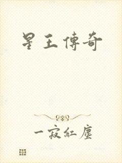 星王传奇