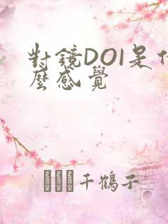 对镜DOI是什么感觉