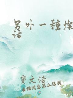 另外一种灿烂生活