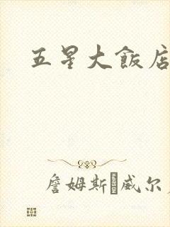 五星大饭店小说