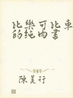 比乐可比车速快的纯肉书