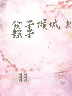 公子倾城 维和粽子