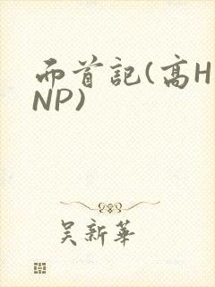 面首记(高H NP)