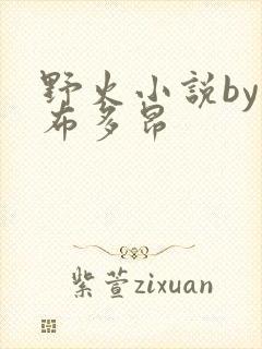 野火小说by夏布多昂